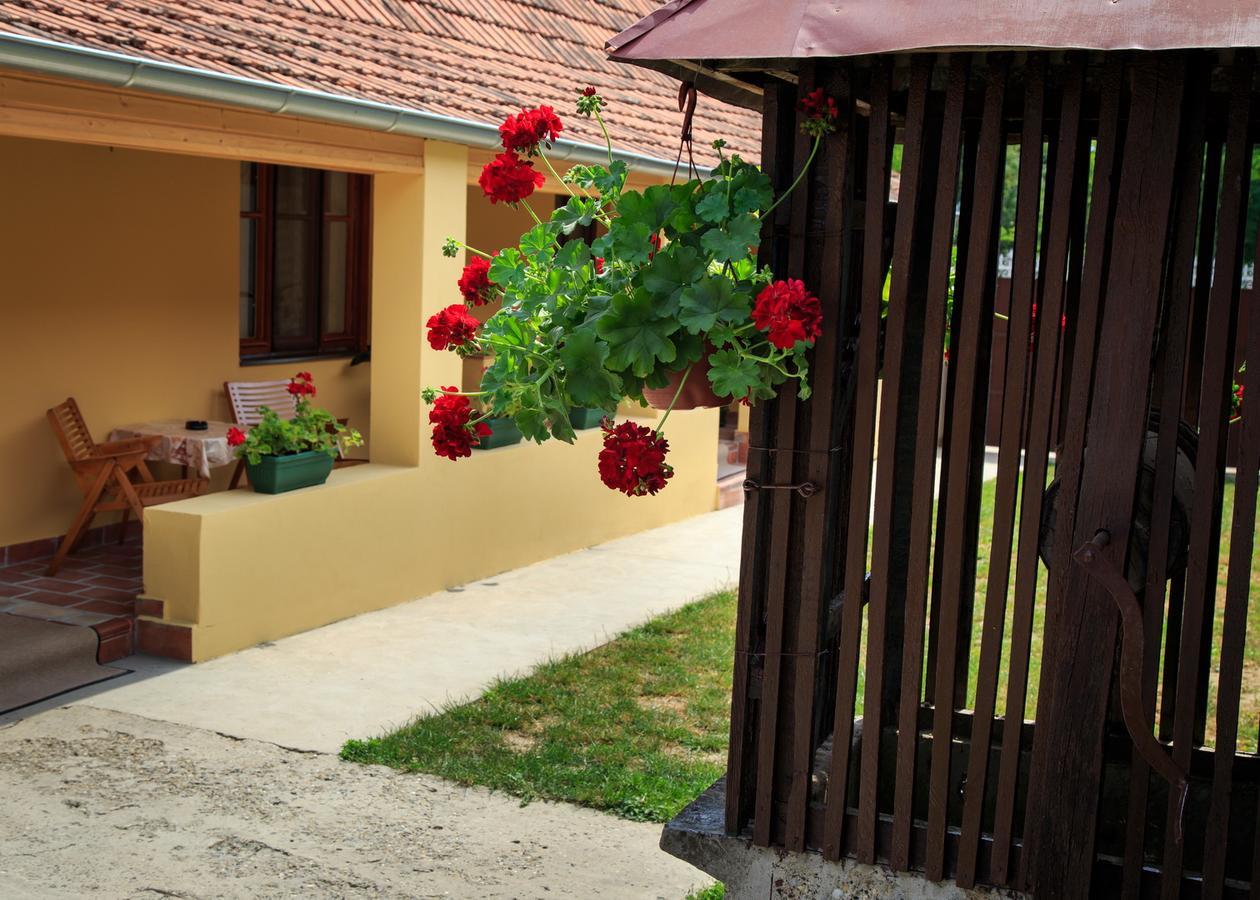 Fortuna Apartments Pacir Εξωτερικό φωτογραφία